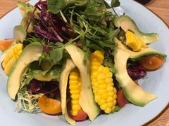 蔬菜沙拉-隐泉之语日式料理(王府中环店)