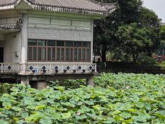 -荔湾湖公园