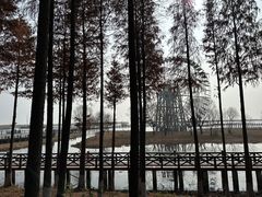 -苏州太湖湖滨国家湿地公园