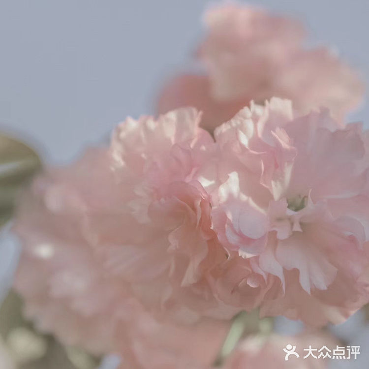 (桃、杏、梨对应的颜色红、粉、白)花里带着甜味