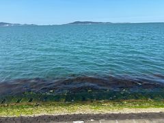 -悦海公园