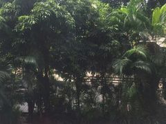 -三亚湾海居铂尔曼度假酒店