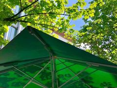 -NORDSEE Frankfurt Fisch Franke