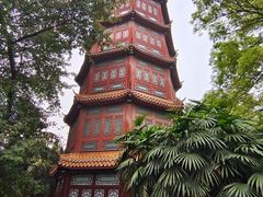 -房湖公园