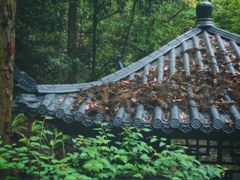 -南岳衡山风景名胜区