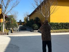 -上海青龙寺
