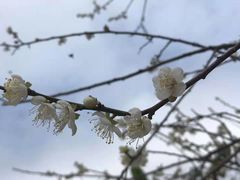 -广州市流溪河国家森林公园