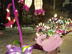 -沈阳奥体冰雪嘉年华