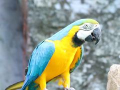 -清迈夜间动物园