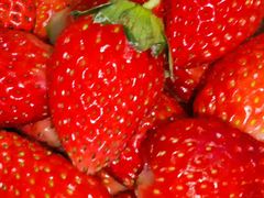 -硕果水果大排档(龙湖好城时光店)