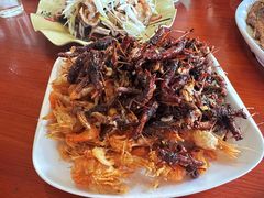-独流饭店(静海区国土资源分局西)