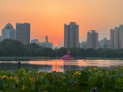 -莲花池公园