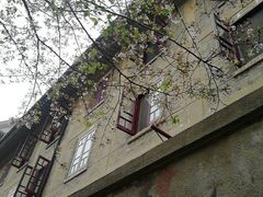-武汉大学-樱园