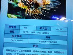 -正佳极地海洋世界