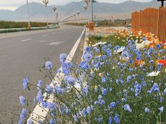 -赛里木湖风景名胜区