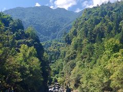 -祁门牯牛降观音堂风景区