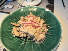 -新兴·金羊座·粤菜点心(乐峰店)