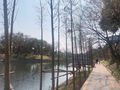 -叠彩山景区
