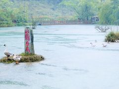-靖西鹅泉风景区