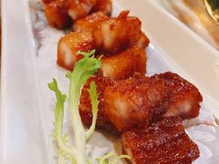 -椿记烧鹅(叠彩店)