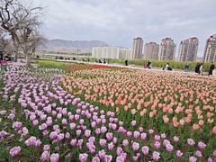 -黄河三峡风景名胜区