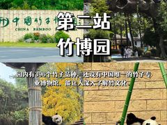 -阿露佳·舌尖上的安吉菜