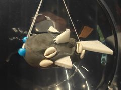 -曲江大雅幼儿园·托育(西安市雁塔区店)