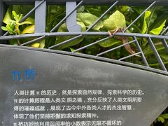 -深圳湾公园(南山区)