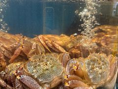 -黑木原精致料理·铁板烧