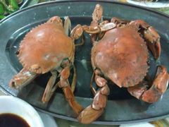 板桥海鲜广场-板桥海鲜广场(文明东店)