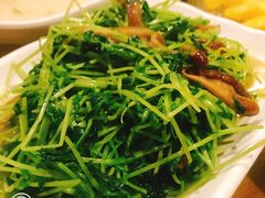 清炒豆苗-宝源饺子(麦子店街店)