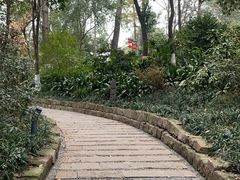 -成都市活水公园