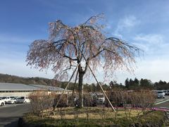 店内环境-轻井泽王子购物广场