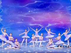 -中央芭蕾舞团·中芭艺蕾(酒仙桥明星校区)