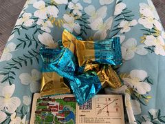 -歌斐颂巧克力小镇