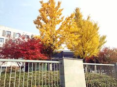 -南京国际博览中心酒店