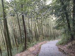 -云栖竹径