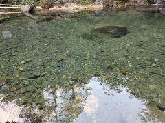 -羚羊峡古栈道森林公园