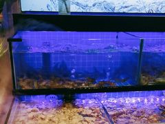 -透明思烤·自助烤肉海鲜火锅(东部星悦天地店)