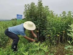 -裕和堂中医推拿艾灸(太古汇臻品店)