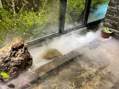 -蓉客成都火锅·招牌麻辣牛杂·特色香辣蹄花(凌水店)
