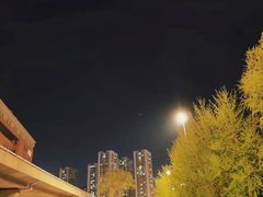 -西塔