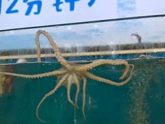 -仙螺岛海鲜自助餐厅(总店)