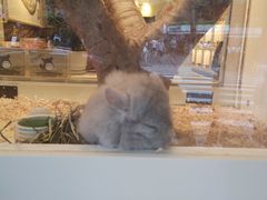 -龙猫仔乐园(惠福东路店)