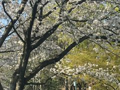 -中国茶叶博物馆(双峰馆区)