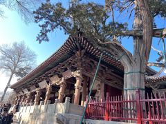 -晋祠公园