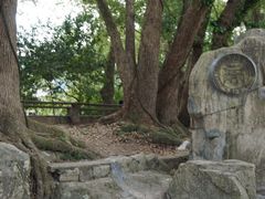-蒋氏故居