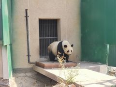 -天津市动物园