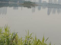 -南宁南湖公园