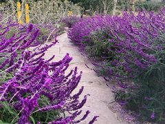 -中国香山·寿香谷